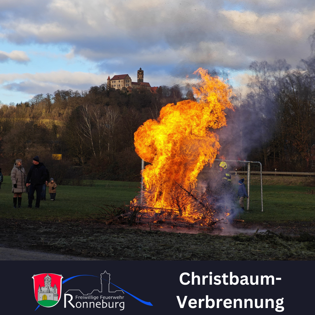 Mehr über den Artikel erfahren Christbaumverbrennung an der Lehnwiese