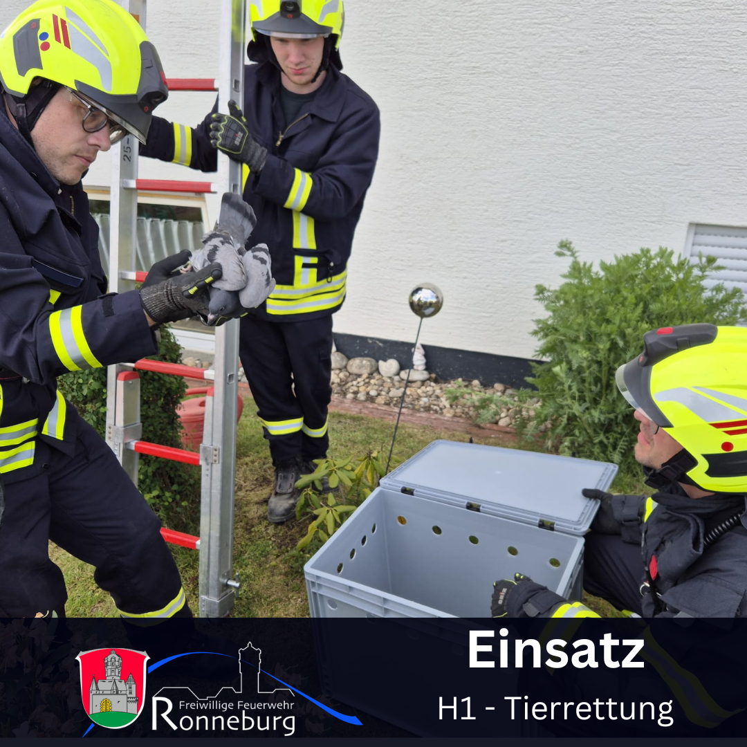 Mehr über den Artikel erfahren Einsatz 18.05.2026 H1 – Tierrettung