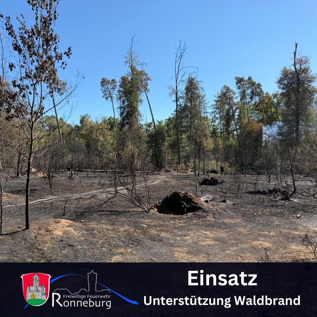 Mehr über den Artikel erfahren Einsatz 11.08.2026 – Waldbrand in Rodenbach